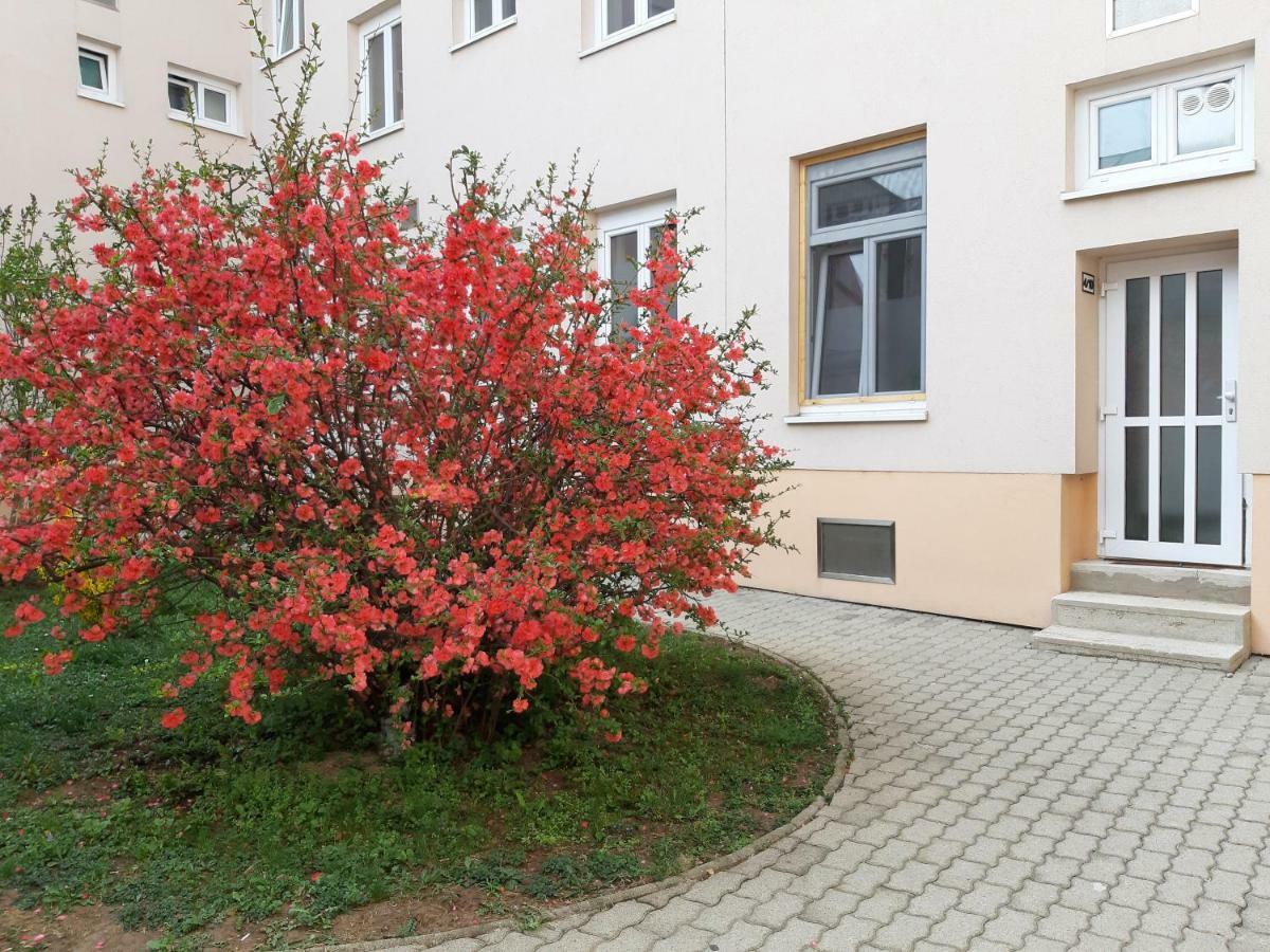 Haydnsuite Eisenstadt Dış mekan fotoğraf